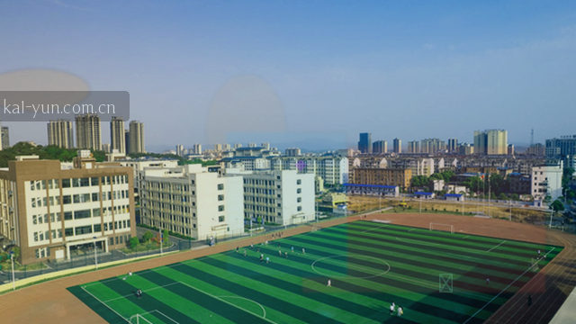 多端登录入口分步指南